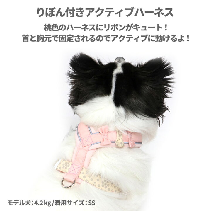 楽天市場 犬 ハーネス 3s アクティブハーネス りぼん 女の子 小型犬 リボン おさんぽ おでかけ お出掛け おしゃれ オシャレ かわいい メール便可 ペットパラダイス 楽天市場 犬 ハーネス 3s アクティブハーネス りぼん 女の子 小型犬 リボン おさんぽ おでかけ お出掛け おしゃれ オシャレ かわいい メール便可 ペットパラダイス