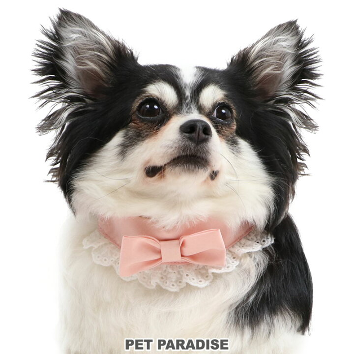 楽天市場 犬 首輪 ｓ りぼん 女の子 小型犬 リボン おさんぽ おでかけ お出掛け おしゃれ オシャレ かわいい メール便可 ペットパラダイス