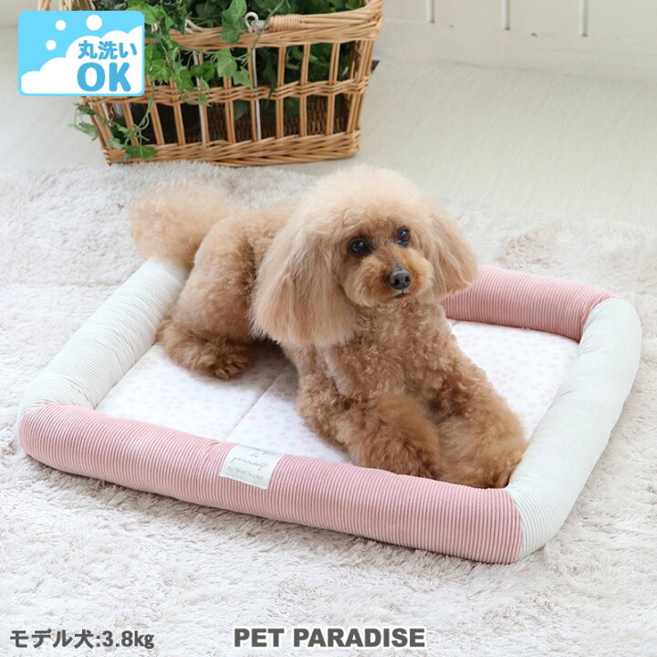 楽天市場 300円offｸｰﾎﾟﾝ対象 犬 ベッド ウォッシャブル 洗える カドラーベッド 57 45cm 花柄 月間送料無料 ペット 犬 猫 ペットベット ハウス 小型犬 介護 夏 クッション 四角 ペットパラダイス