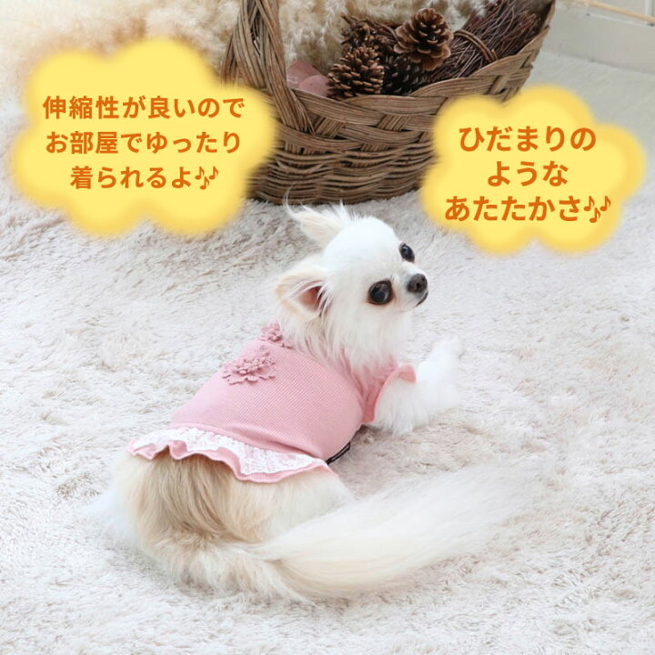 楽天市場 300円クーポン対象 犬 服 秋冬 タンクトップ 小型犬 レース プレミアム ペティヒート 暖かい あったか 保温 防寒 防寒対策 インナー 室内着 軽量 発熱 伸縮 メール便可 ペットパラダイス