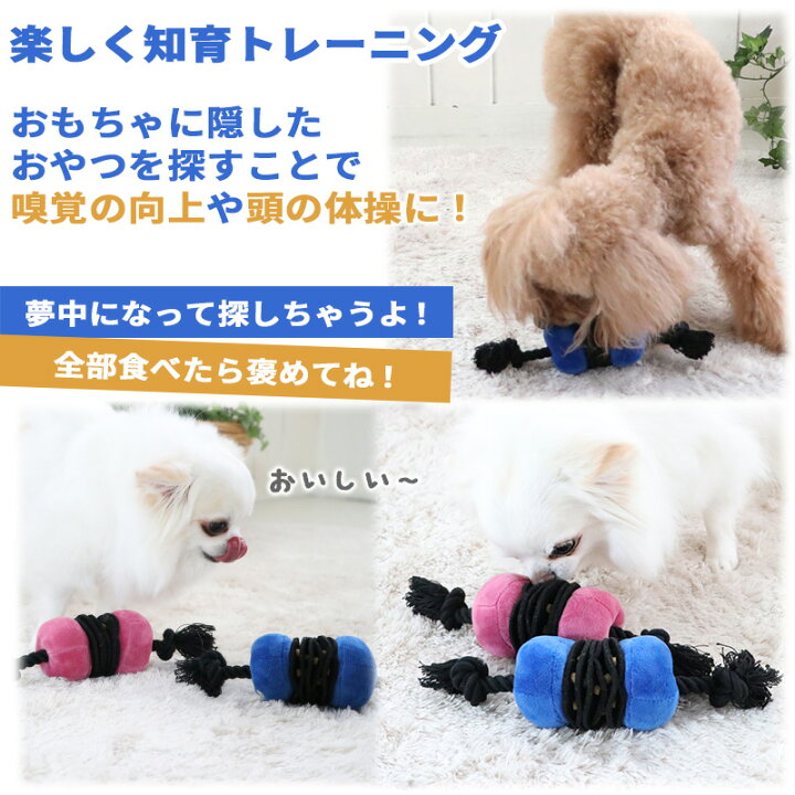 楽天市場 犬 おもちゃ 知育 ロープ おもちゃ ノーズワークトイ ストレス解消 青 桃 噛む おうちで遊ぼう おうち時間 オモチャ ペット トイ 玩具 Toy 小型犬 かわいい おもしろ インスタ映え ペットパラダイス