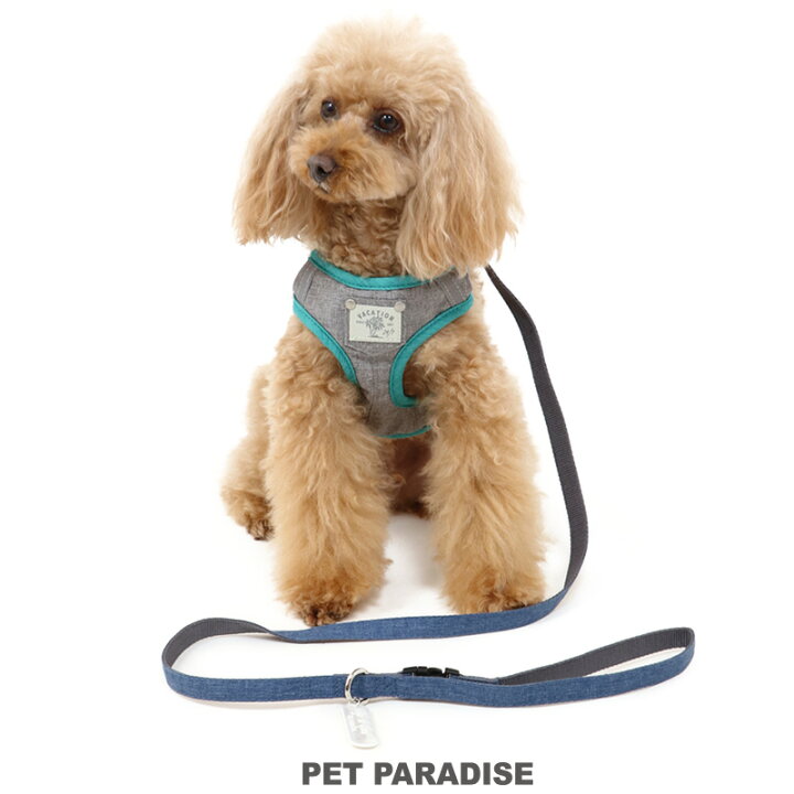 楽天市場 300円offｸｰﾎﾟﾝ対象 犬 ハーネス リード 飾りポケット付 ハーネス リード ３ｓ 反射 小型犬 おさんぽ おでかけ お出掛け おしゃれ オシャレ かわいい 母の日 プレゼント 父の日 ペットパラダイス