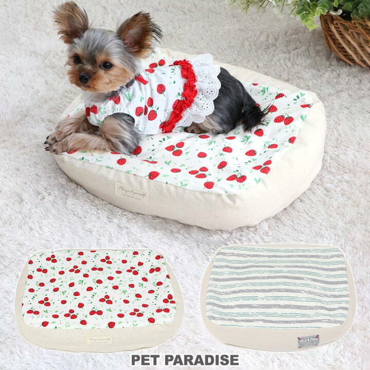 楽天市場 犬 ベッド おしゃれ カドラーベッド 38 32cm 月間送料無料 苺商品 女の子 苺柄 水色 苺 いちご イチゴ 野いちご 着脱カバー 犬 猫 ベッド マット 小型犬 介護 おしゃれ かわいい ふわふわ あごのせ 四角 ペットパラダイス