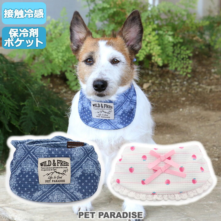 楽天市場 犬 クールネック クール バンダナ ひんやり 夏 保冷剤付き ペイズリー柄 イチゴ柄 ネッククーラー 小型犬 首元 ひんやり バンダナ ひんやり 涼感 冷却 吸水速乾 キャラクター メール便可 ペットパラダイス