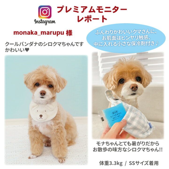 楽天市場 犬 クールネック クール バンダナ ひんやり 夏 保冷剤付き くま柄 ネッククーラー 小型犬 しろくま 白 ブラウン 首元 ひんやり バンダナ ひんやり 涼感 冷却 吸水速乾 キャラクター メール便可 ペットパラダイス