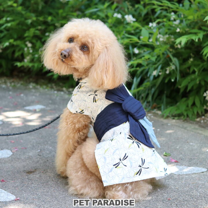 楽天市場 300円offｸｰﾎﾟﾝ対象 犬 夏服 浴衣 小型犬 トンボ柄 兵児帯 男の子 ペットウエア ドッグウエア ドッグウェア イヌ 全開 夏祭り ゆかた 夏用 メール便可 ペットパラダイス