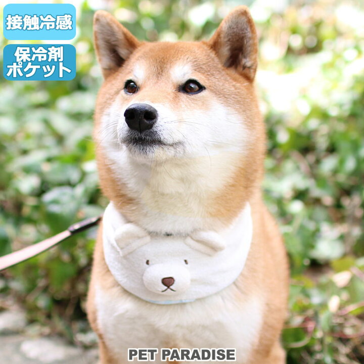 楽天市場 犬 クール バンダナ ひんやり 夏 保冷剤付き くま柄 ネッククーラー 中型犬 しろくま 首元 ひんやり バンダナ ひんやり 涼感 冷却 吸水速乾 キャラクター メール便可 プレゼント 父の日 ペットパラダイス