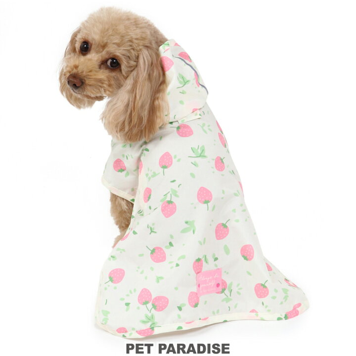 犬 レインコート ポンチョタイプ 【小型犬】 苺柄 | 女の子 苺商品 女の子 いちご イチゴ 野いちご グッズ ドッグウエア イヌ おしゃれ かわいい 反射 撥水 キャラクター 雨具 カッパ 散歩 マント 梅雨対策 アウター 雨 雨の日 泥はね メール便可 | ペットパラダイス