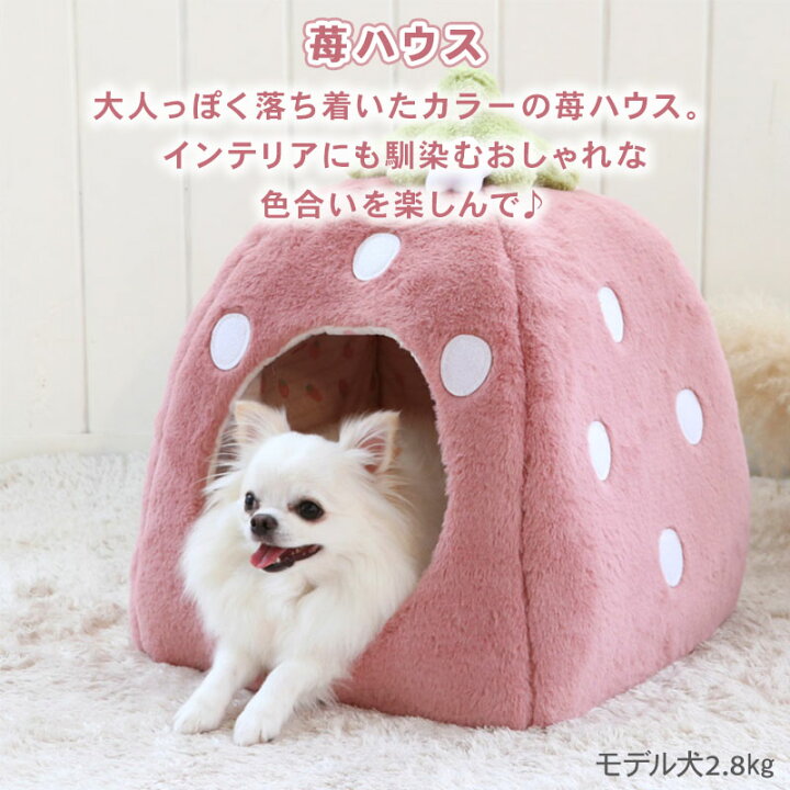 楽天市場】【最大2000円OFFｸｰﾎﾟﾝ】【P10倍】ペットパラダイス公式 犬 