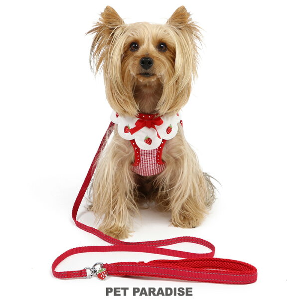 ペットパラダイス公式 犬 ハーネス リード 小型犬 苺 スカラップ襟 | 犬用ハーネスハーネス＆リード 簡単装着 反射 安全 夜のお散歩 赤 イチゴ いちご お散歩 おでかけ お出掛け おしゃれ かわいい