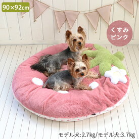 犬 ペットベッド 苺 クッション ピンク ネット店限定 | 小型犬 いちご カバー取り外し お洗濯可能 おしゃれ かわいい インテリア ふわふわ