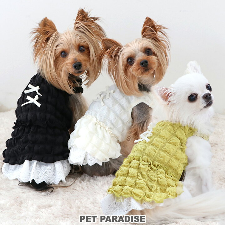 楽天市場】【最大50％OFFｸｰﾎﾟﾝ】【880円OFF】犬 服 秋 ワンピース 小型 