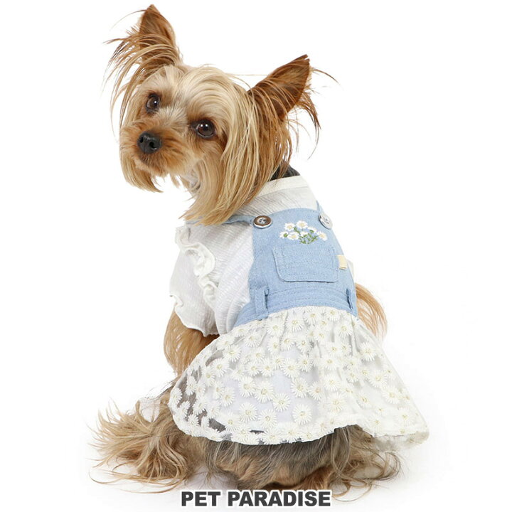 楽天市場】【880円OFF】犬 服 秋 スカートつなぎ 小型犬 花 刺繍 