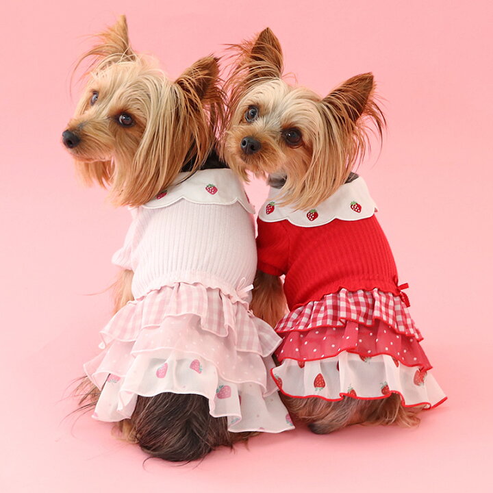 楽天市場】犬 服 秋 ワンピース 小型犬 苺 刺繍 スカラップ襟 