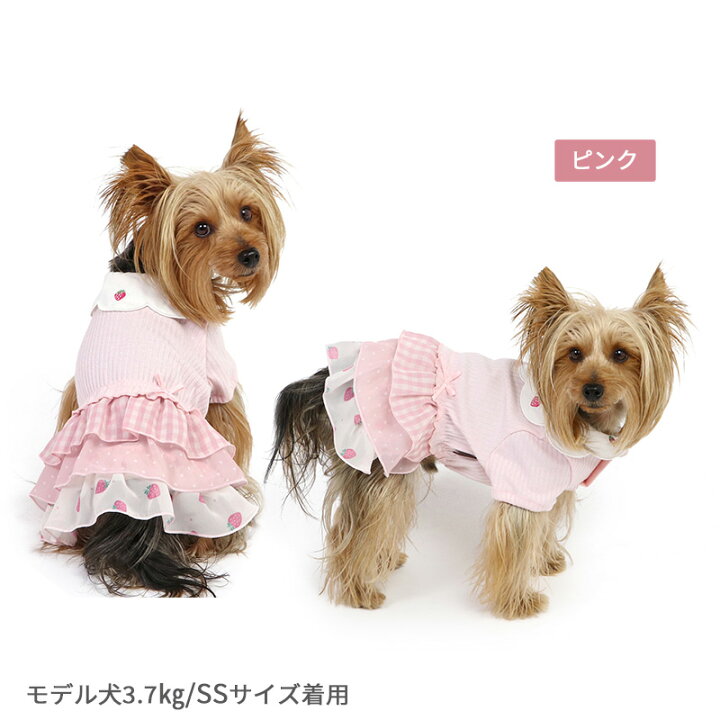 楽天市場】【最大2000円OFFｸｰﾎﾟﾝ】犬 服 秋 ワンピース 小型犬 苺 刺繍 