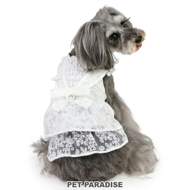 楽天市場】【880円OFF】犬 服 秋 ワンピース 小型犬 レース ホワイト  