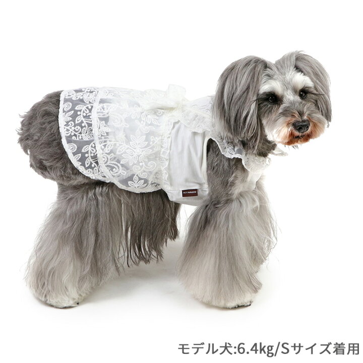 楽天市場】【最大2000円OFFｸｰﾎﾟﾝ】【880円OFF】犬 服 秋 ワンピース 