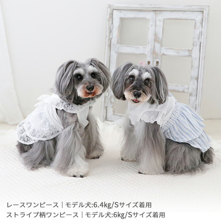 楽天市場】【最大2000円OFFｸｰﾎﾟﾝ】【880円OFF】犬 服 秋 ワンピース 