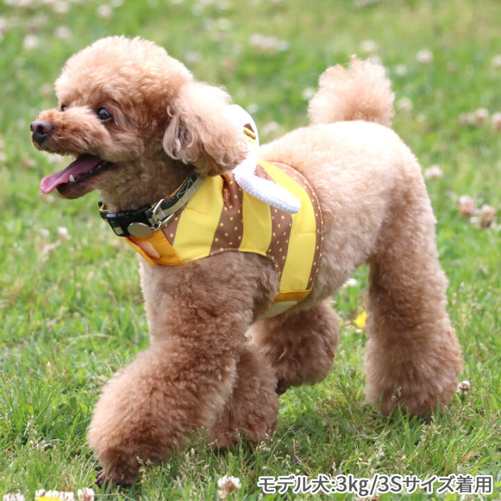 楽天市場】犬 服 夏服 ひんやり クール ベスト 小型犬 中型犬 大型犬 