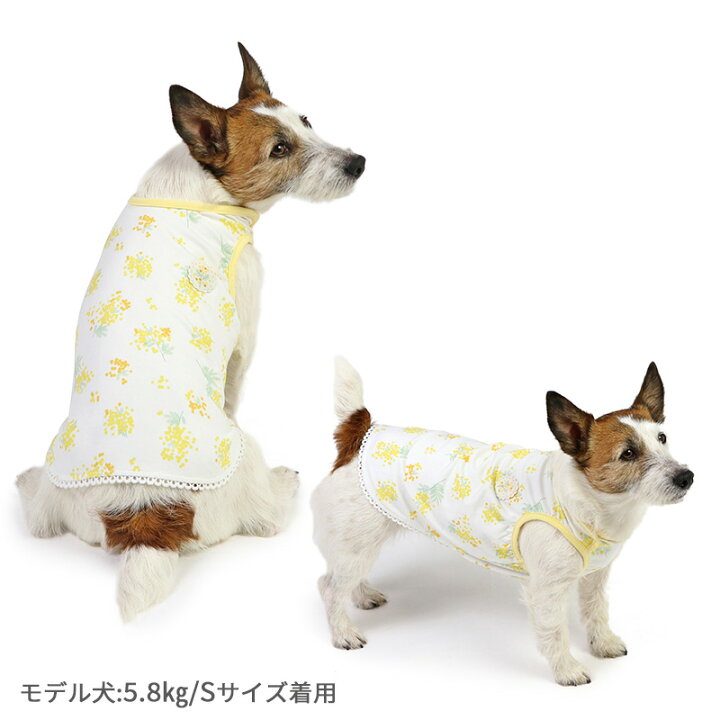 楽天市場】犬 服 秋 タンクトップ 小型犬 中型犬 大型犬 ミモザ柄 