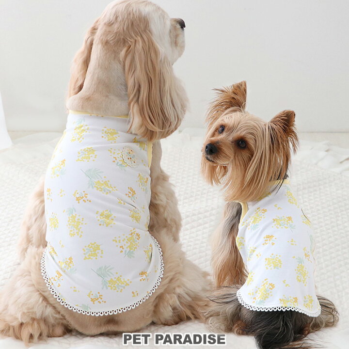 楽天市場】犬 服 秋 タンクトップ 小型犬 中型犬 大型犬 ミモザ柄 
