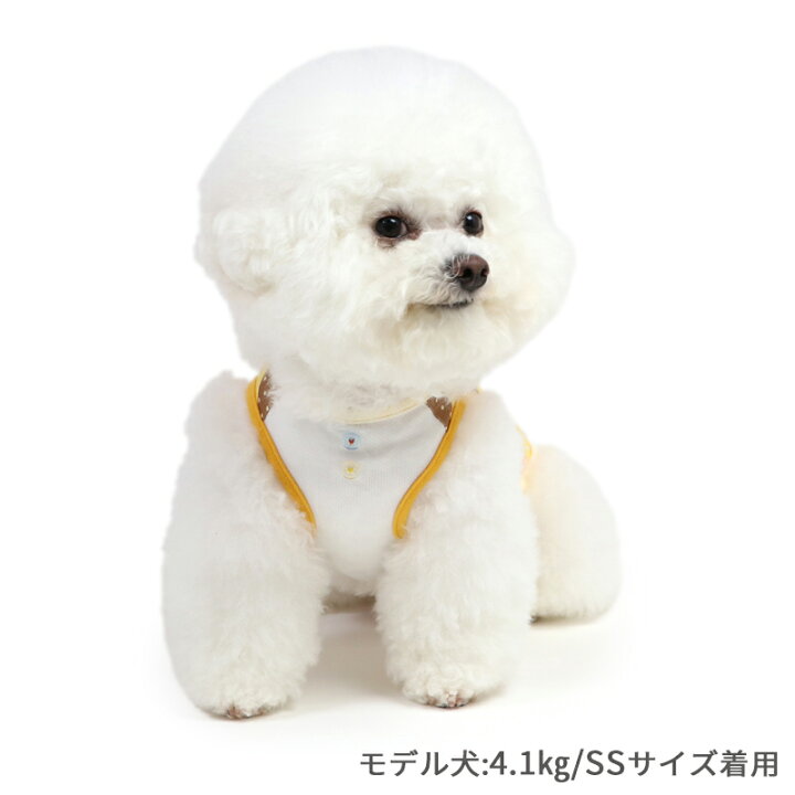 楽天市場】犬 服 タンクトップ 蜂 小型犬 中型犬 大型犬 クール 接触冷 