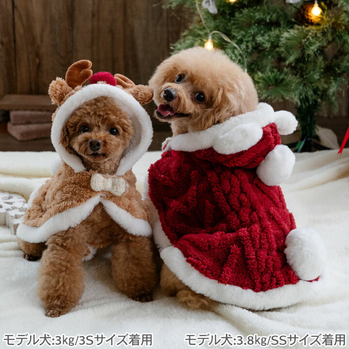 犬服くまちゃんサンタクリスマスSサイズ