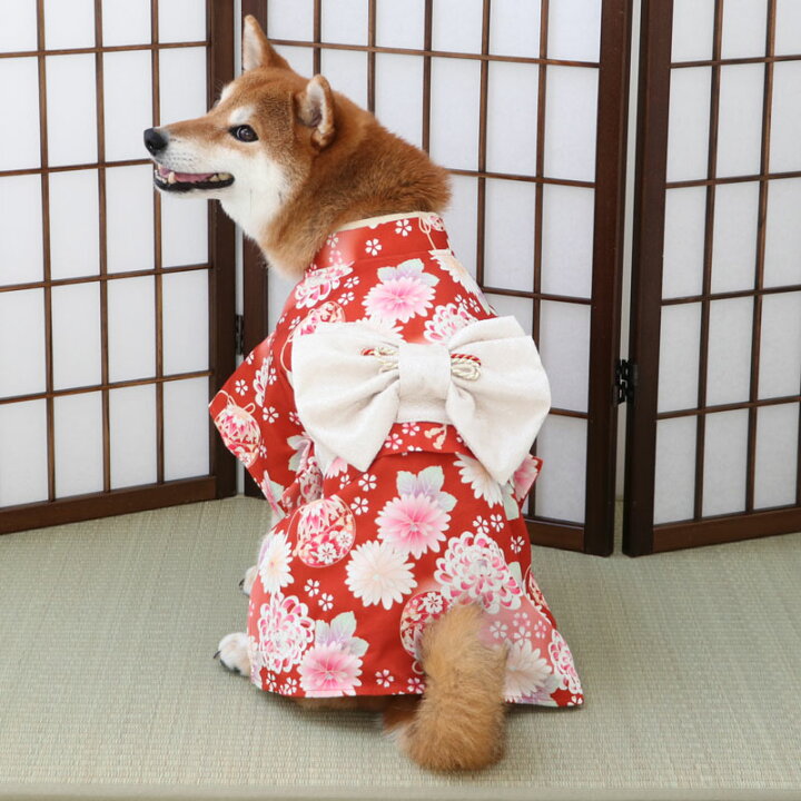 楽天市場】犬 着物 おしゃれ 七五三 お正月 和服 帯付き 超小型犬 小型 