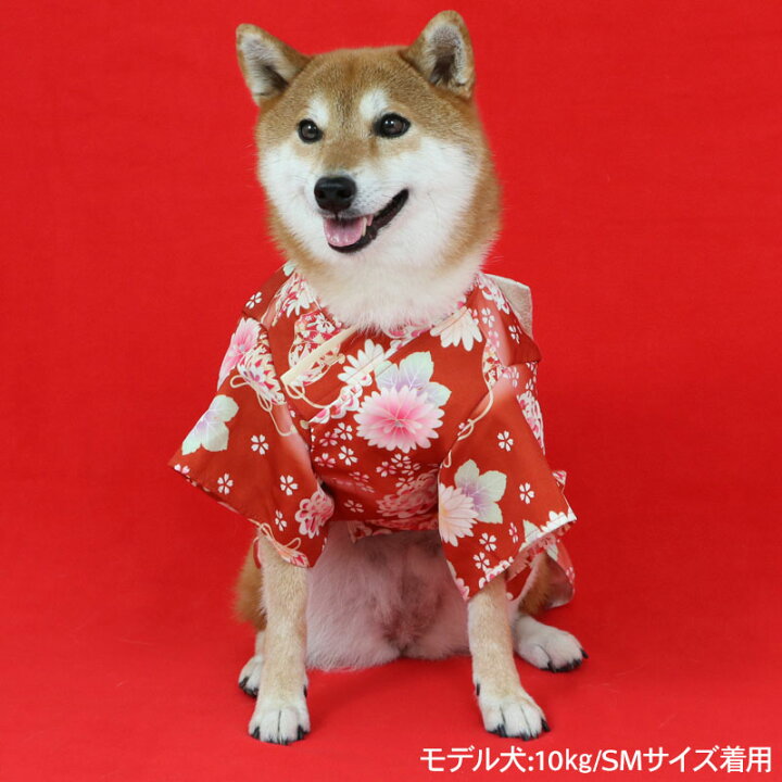 楽天市場】犬 着物 おしゃれ 七五三 お正月 和服 帯付き 超小型犬 小型 