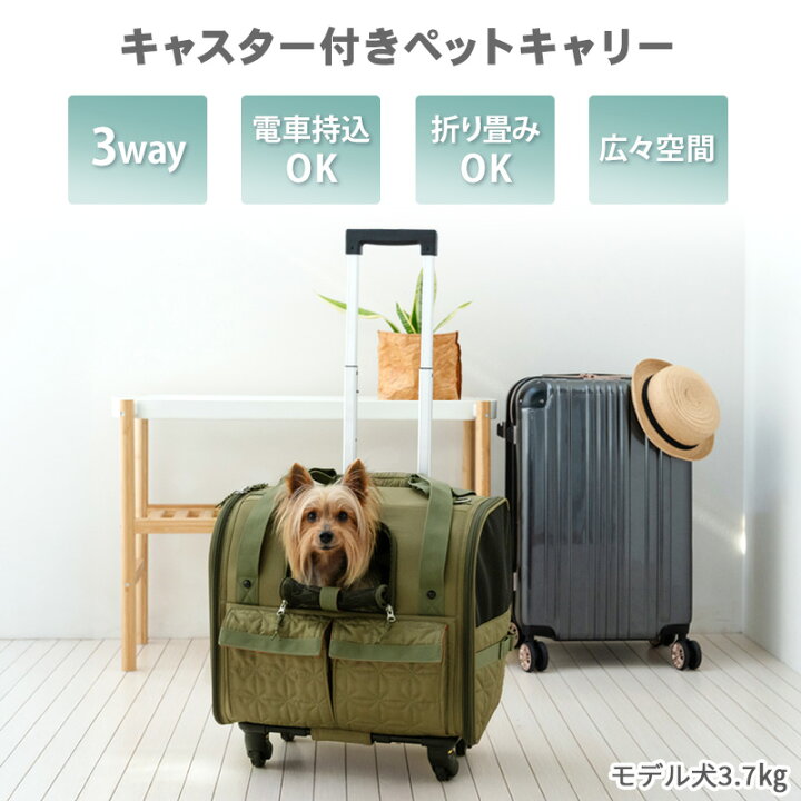 楽天市場】【880円OFF】【P10倍】犬 キャリーバッグ キャスター 付き 