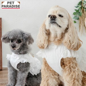  n[lX t xXgn[lX ^ ^ |  S S ̖h~ ł o U   킢 zCg