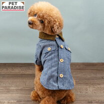 楽天市場】コーデュロイ（カラーブルー）（犬用品｜ペット・ペット 