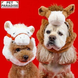 yybgp_CXz 蕨 x Xq  2026N ϐg Ȃ肫 ^ ^ ^ |    RX`[  n E}   N ʐ^ sns RXv 킢 