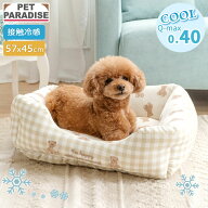 【P10倍】【880円OFF】犬 クール ベッド 夏用 接触冷感 くまちゃん アイス柄 クールカドラー （57×45cm…