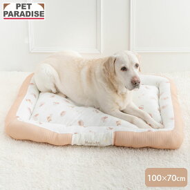 【P10倍】【880円OFF】ペットパラダイス公式 犬 ベッド おやすみくまさん カドラー （100×70cm） | ブラウン くま はじめて パピー ふわふわ おしゃれ かわいい 猫 ペットベッド もこもこ 介護 洗える おしゃれ あごのせ 顎のせ