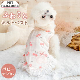 【880円OFF】ペットパラダイス公式 犬服 秋 ベスト 背中開き 小型犬 ホワイト レース | ブランド カジュアル おしゃれ かわいい チェリーボンボン キルティングベスト ふわりとキルト 犬の服 ドッグウェア