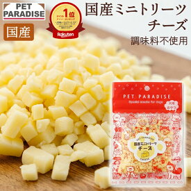 ペットパラダイス公式 犬 おやつ 国産 チーズ 小粒 40g | 犬オヤツ 犬用 ペット