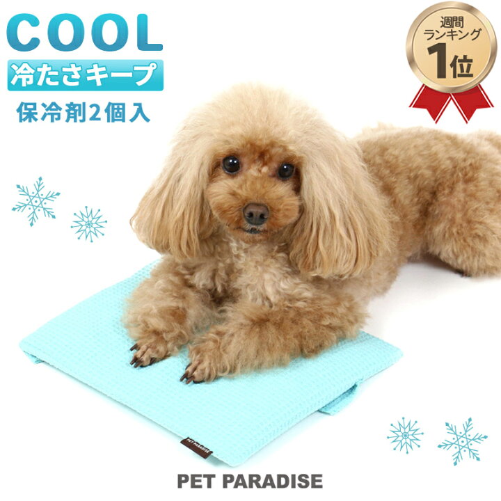 楽天市場 ペットキャリー カート用 コンパクトクーラー 25 22cm ひえひえ クールバッグ ひんやり マット犬 猫 ペット キャリーバッグ キャリーバック カート バギー 犬用 冷却 ひんやり 夏用 涼しい 枕 ジェルマット 熱中症対策 ペットパラダイス