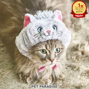 y{20`撅50N[|zfBYj[ Lbg L Xq xI[Y Ȃ肫   | LO1ʓ 蕨 RX`[ ڂ S \ 킢 ˂ lR cat