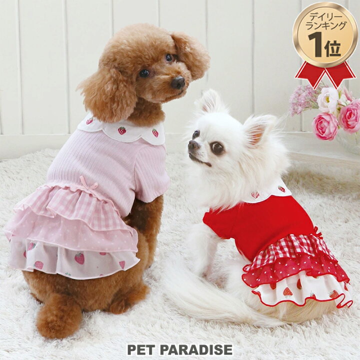 楽天市場】【最大2000円OFFｸｰﾎﾟﾝ】犬 服 秋 ワンピース 小型犬 苺 刺繍 