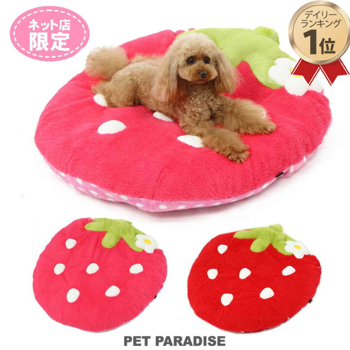楽天市場 犬 ベッド おしゃれ クッション 92 90cm でかクッション 野いちご 型 ふわふわ 苺商品 女の子 送料無料 ネット限定 苺 いちご イチゴ 野いちご 野苺 クッション カドラー マット 犬 猫 大きい 多頭飼い ペットパラダイス