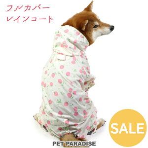 Z[   CR[g ₷ ^ ^ t  | AEgbg sale yԕisz tJo[^Cv t[ht  C`S sN hbOEGA Ck 킢 