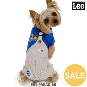 yyVX[p[SALEzZ[ Lee   t V_[ pc Ȃ ^ | AEgbg sale yԕisz H~ R[fC d˒   킢