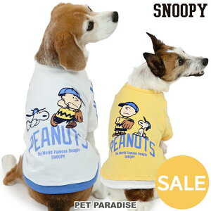 yyVX[p[SALEzZ[ Xk[s[   t t@Cv[ TVc  F ^ ^ ^ | AEgbg sale yԕisz H~ 싅 jtH[  ł 