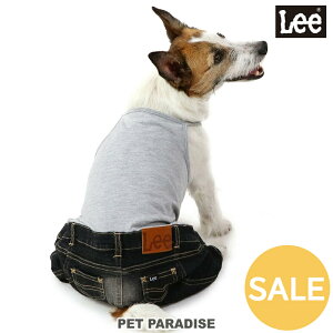 yyVX[p[SALEzZ[   t Lee L~\[ pcȂ y^z ubN fj | AEgbg sale yԕisz ̕ ciM pc  Tybg d˒ 