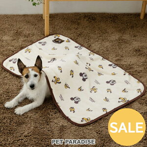 yyVX[p[SALEzZ[ fBYj[ v[g ~bL[  uPbg (90×60cm) ~p | AEgbg sale yԕisz ~bL[ 炩 ۉ g h h΍  