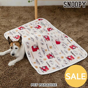 yyVX[p[SALEzZ[ yybgp_CXz Xk[s[  ѕz ~p ˕ uPbg | AEgbg sale yԕisz ۉ g h 킢 