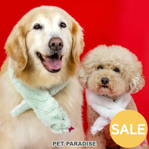 Z[   x ւ }t[ S2F / ^ ^ ^ ^ | AEgbg sale yԕisz   2025N wr Ȃ肫  N ʐ^ sns RXv 킢