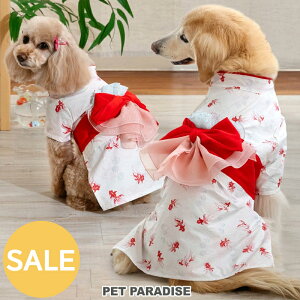 yyVX[p[SALEzZ[  ĕ   Vj   ^ ^ ^ | AEgbg sale yԕisz zCg g ̎q ѕt Ղ Cxg RX`[ 킢