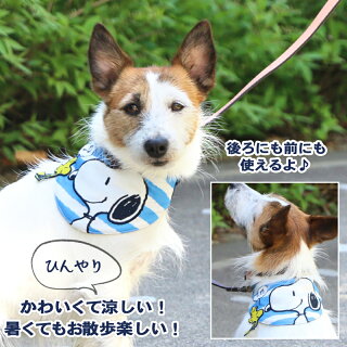 楽天市場 ひんやり バンダナ スヌーピー 保冷剤付き ポケット クール ハッピー バンダナ 小型犬 夏 ひんやり バンダナ ひんやり 涼感 冷却 吸水速乾 キャラクター メール便可 ペットパラダイス